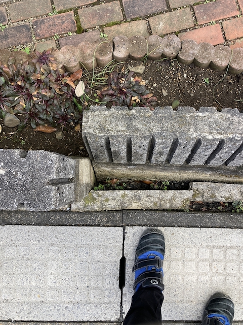 倒れたブロック塀の上からの写真